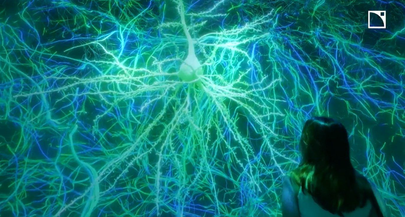 ARTECHOUSE – Life of a Neuron